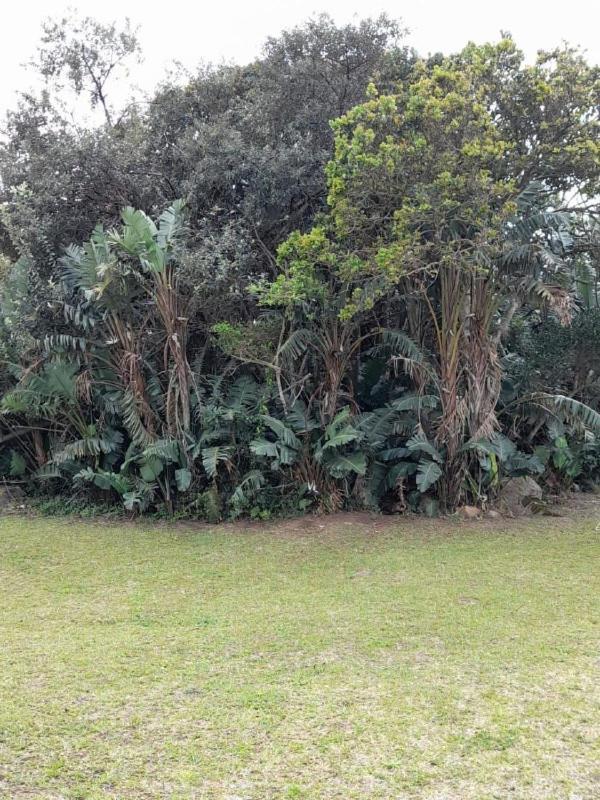 דירות פורט אדוארד 19 Montego Bay Caribbean Estate מראה חיצוני תמונה