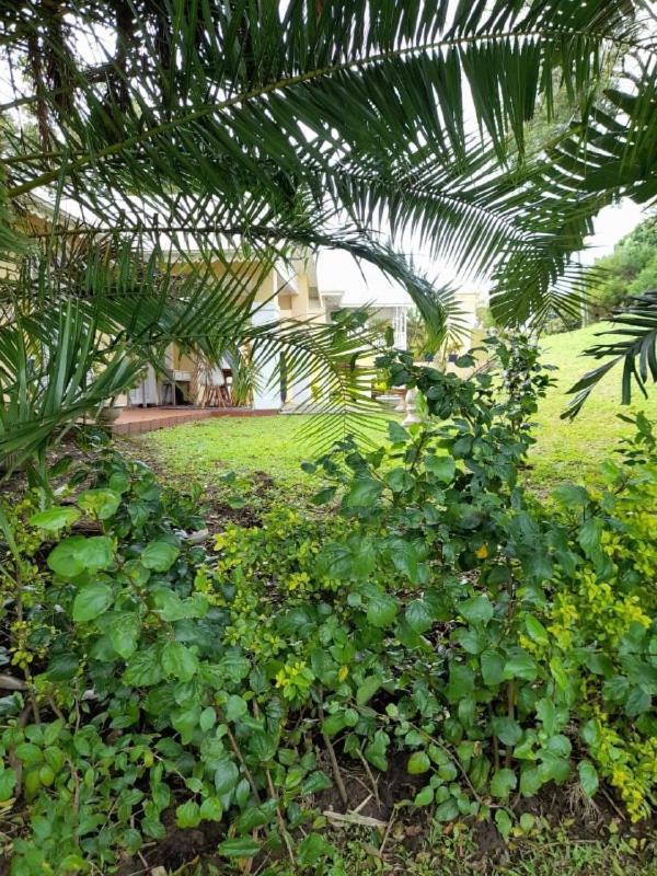 דירות פורט אדוארד 19 Montego Bay Caribbean Estate מראה חיצוני תמונה